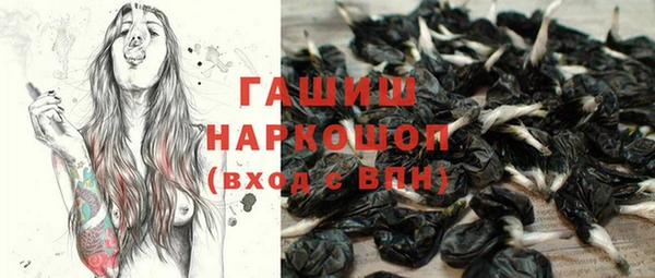 a pvp Бородино